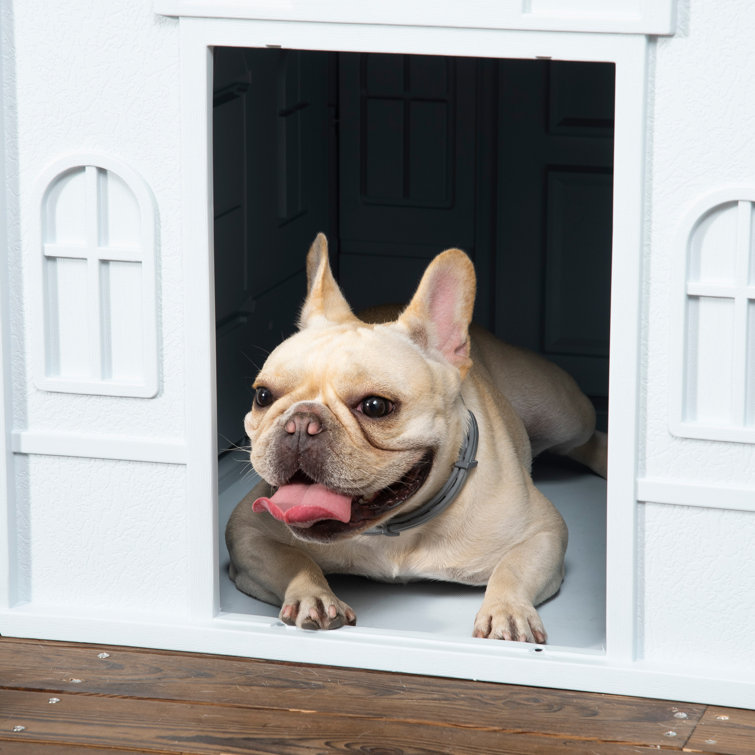 Wayfair insulated dog clearance house